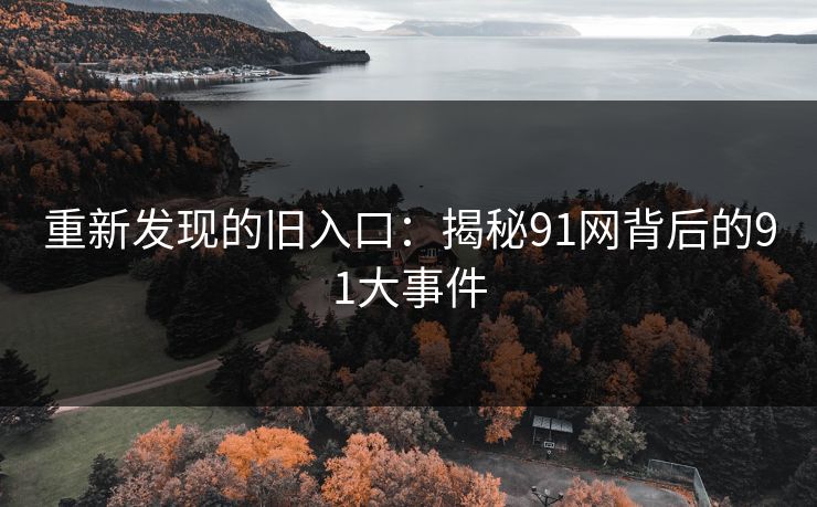 详细阅读:重新发现的旧入口:揭秘91网背后的91大事件 重新发现的旧入口:揭秘91网背后的91大事件