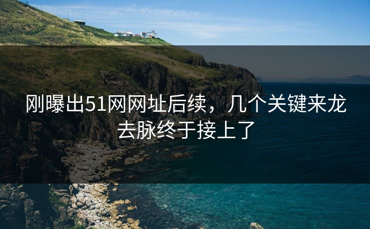 刚曝出51网网址后续，几个关键来龙去脉终于接上了